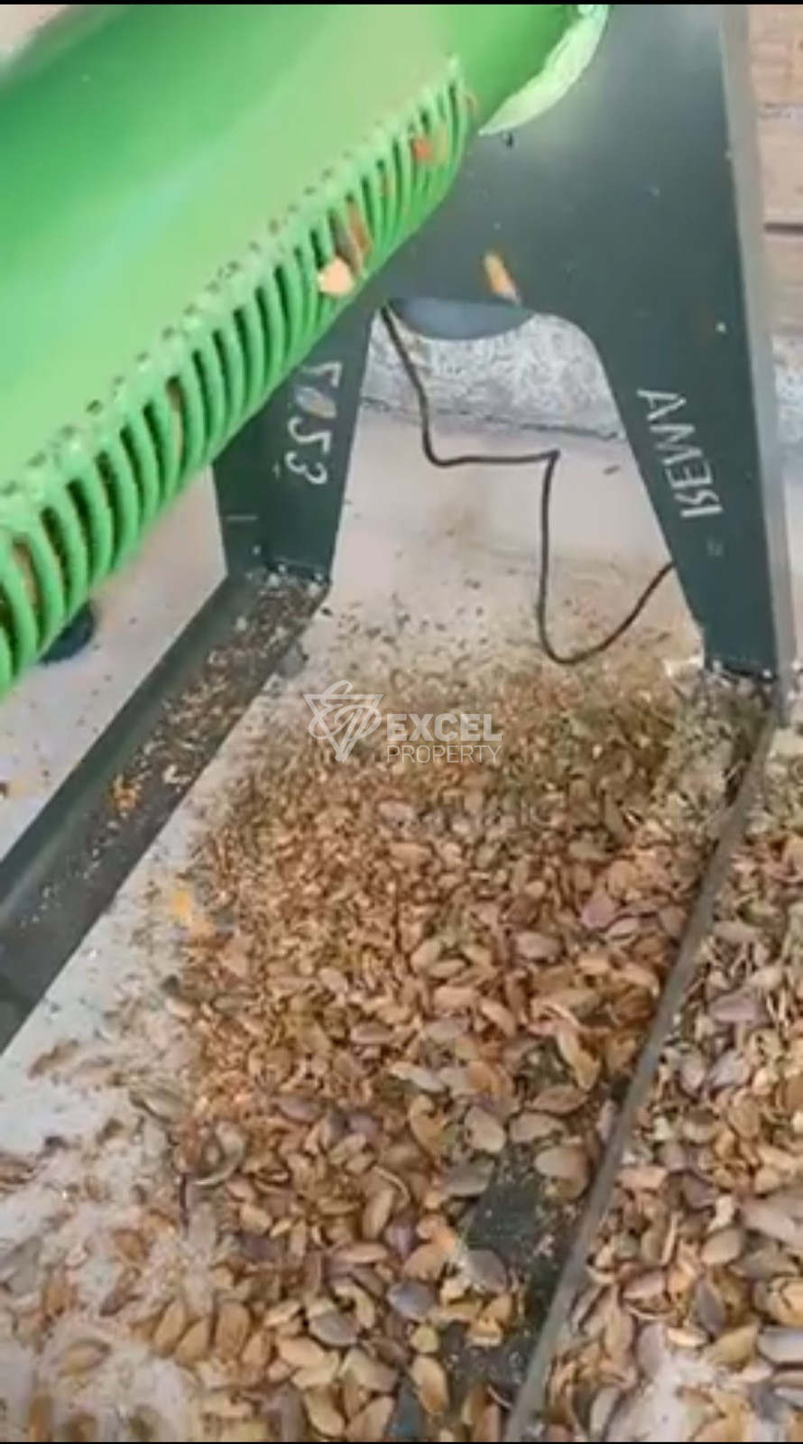 🌰 ДЕЙСТВУЮЩИЙ БИЗНЕС – МИНДАЛЬНЫЙ САД В ЗЕМЛИЩЕ С. ГЮЛЁВЦА