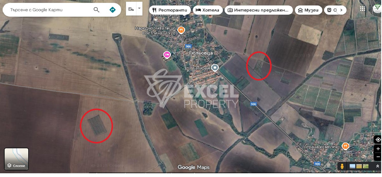 🌰 ДЕЙСТВУЮЩИЙ БИЗНЕС – МИНДАЛЬНЫЙ САД В ЗЕМЛИЩЕ С. ГЮЛЁВЦА